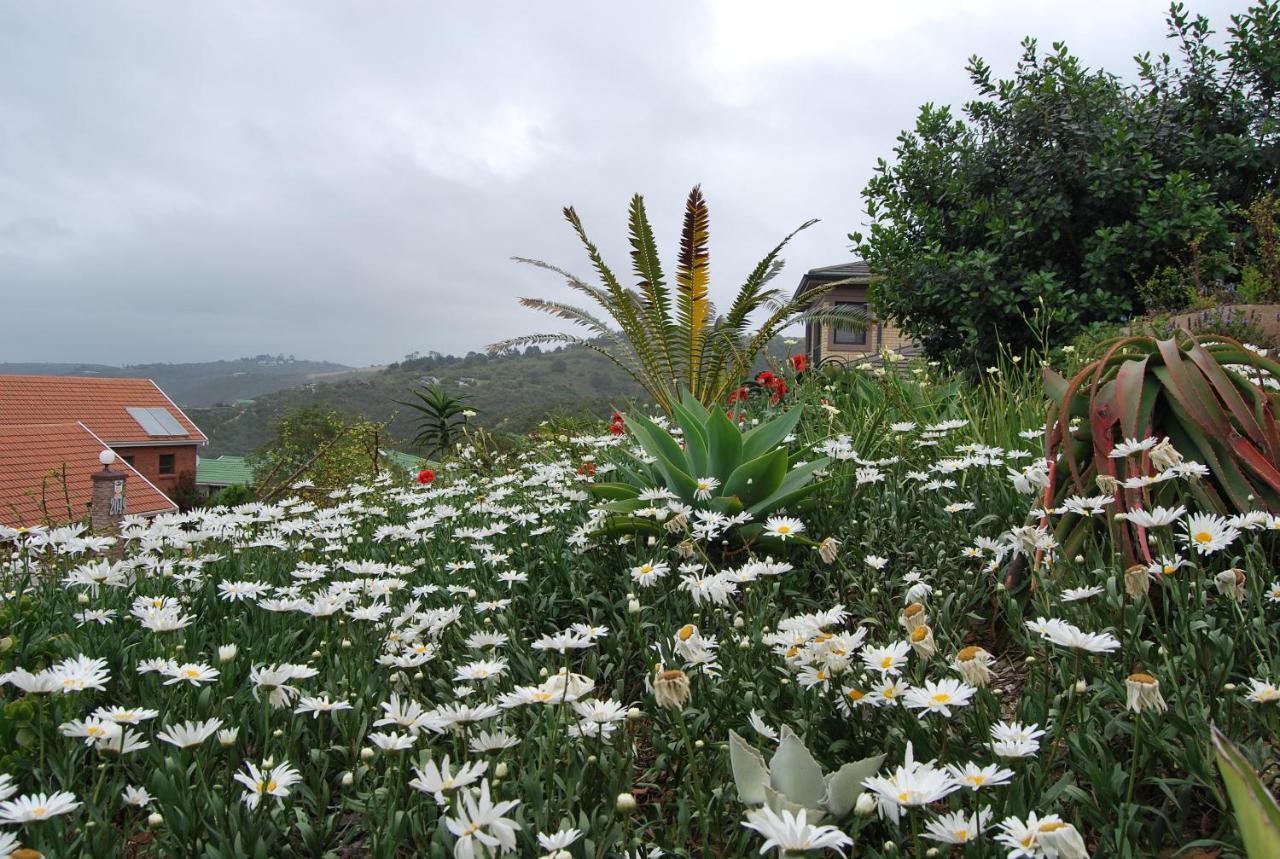 Wilderness Ocean View Cottage المظهر الخارجي الصورة
