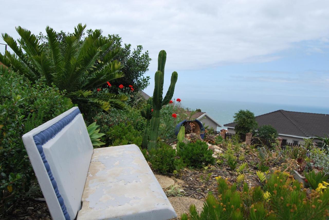 Wilderness Ocean View Cottage المظهر الخارجي الصورة
